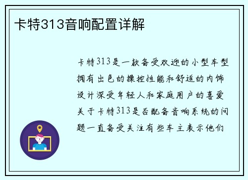 卡特313音响配置详解